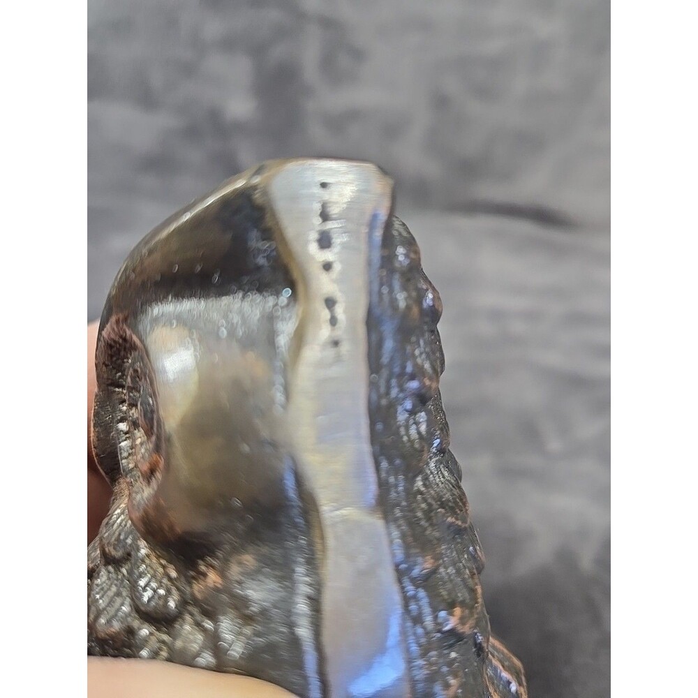 Owl Figurine Paperweight Two's Company Metal Bronze Bird SEEN ON YOUNG SHELDON - Picture 9 of 11